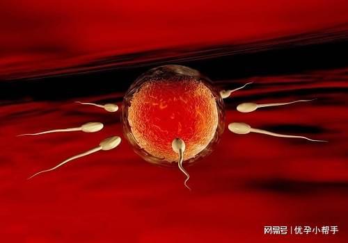 孕期需要注意什么呢？-优孕行k8凯发国际高龄女性备孕及